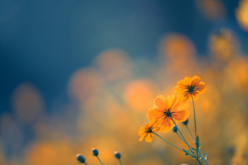 自动挡临时停车挂什么档