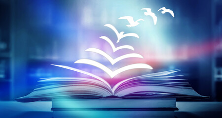 不小心加了92乙醇汽油