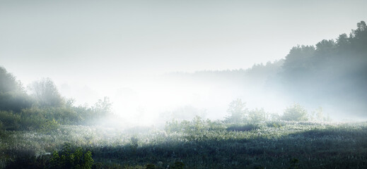 我是新手 丰田卡罗拉自动档怎样开