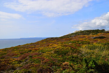 p0494故障码怎么排除
