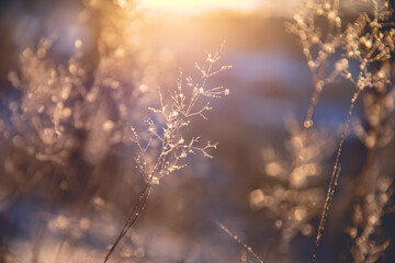 你知道钢琴的“刹车、离合、油门”吗？