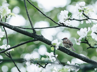 上汽通用所有车型有哪些？