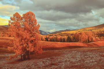 E46、135i、E39、Z8 这9款最棒的宝马不需要M-Power来证明自己