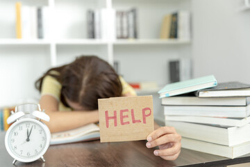 推荐四款5-8万自动挡车型 都是新车中的佼佼者