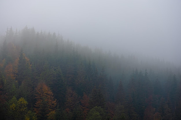 为什么我的电脑主机机箱风扇声音很大啊？