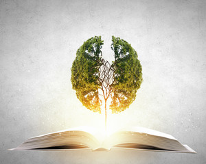 直行与单行的标志区别