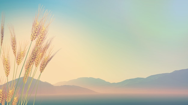 国内续航里程最长的纯电动汽车