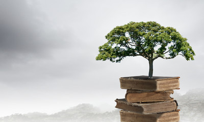 汽车哪个是刹车（哪个是油门）