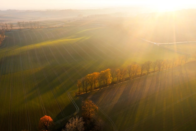 行车记录仪能看到车里面的人吗？