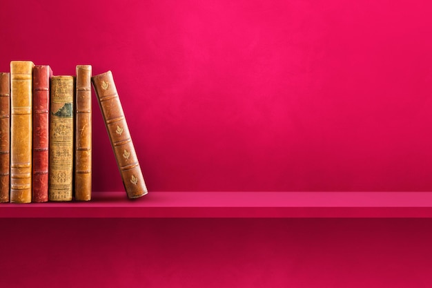 国内续航里程最长的纯电动汽车