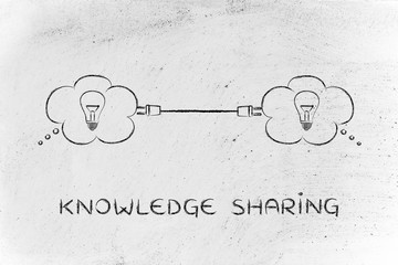 车船税返点后果有多大