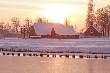 标致301为什么不能买-