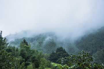 奔奔Mini油耗高吗？